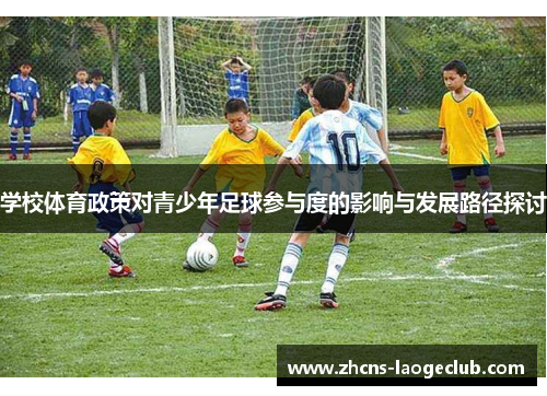 学校体育政策对青少年足球参与度的影响与发展路径探讨