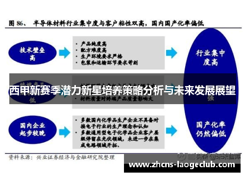 西甲新赛季潜力新星培养策略分析与未来发展展望